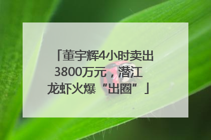 董宇辉4小时卖出3800万元，潜江龙虾火爆“出圈”